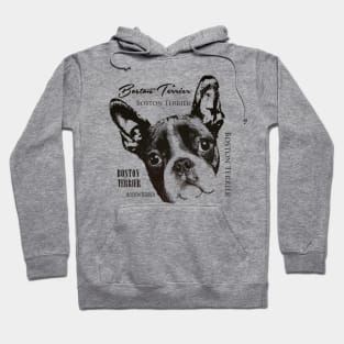 Boston Terrier dog Hoodie